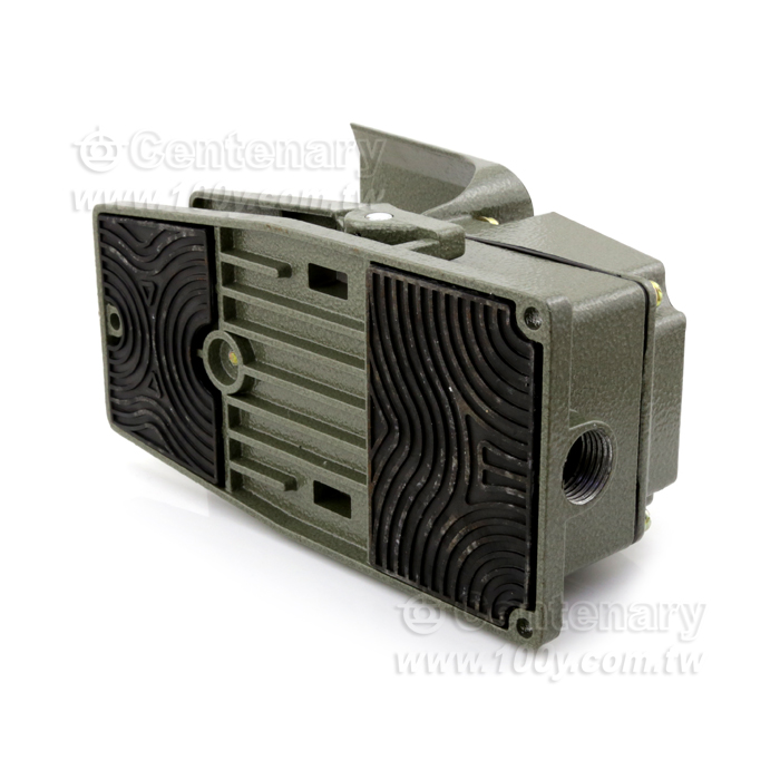 Foot Switches - 89821 Product Image