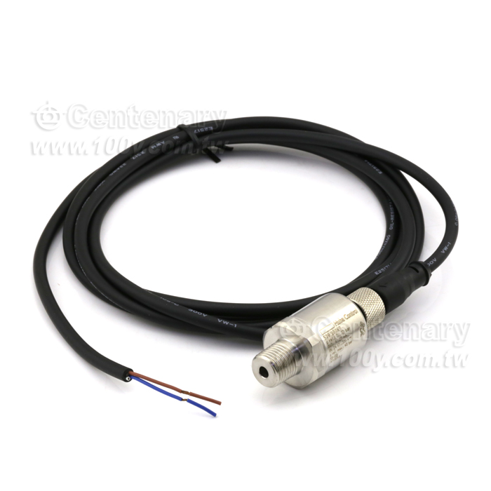 Relative and absolute pressure transmitter - 91216 Product Image