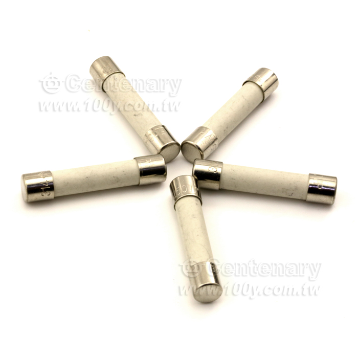 快溶保險絲  250V/15A Fast - 91463 產品圖片