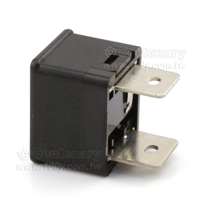 保險絲 30A  125V - 79111 產品圖片
