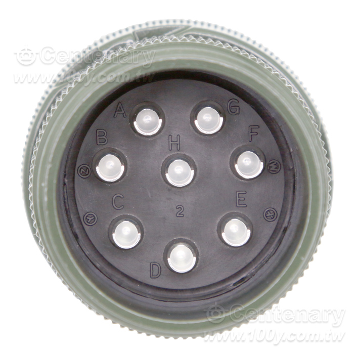 8P公端直管接頭 - 61448 產品圖片