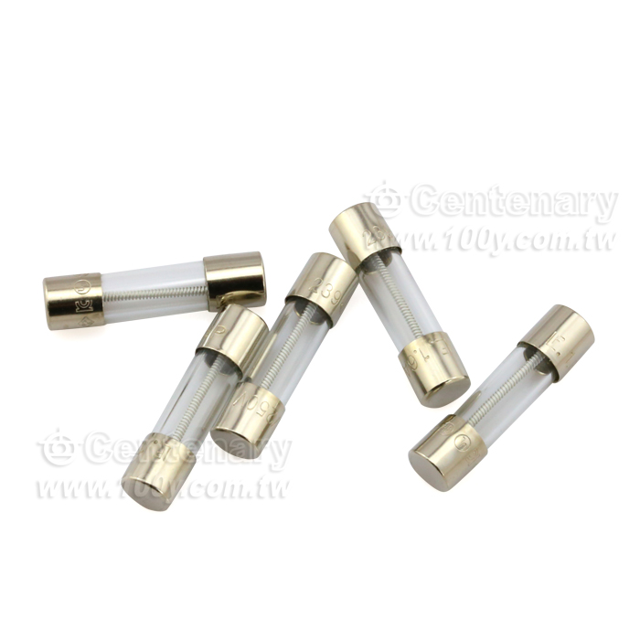 慢熔保險絲 250V 1.6A Slo-Blo - 108869 產品圖片