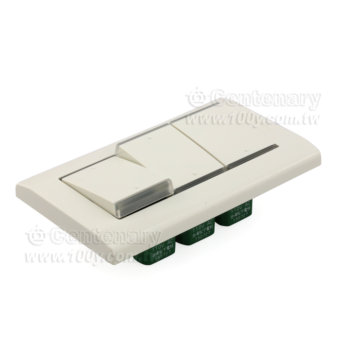 埋入式螢光開關C(參) (附蓋板)15A 110V AC用 - 108841 產品圖片