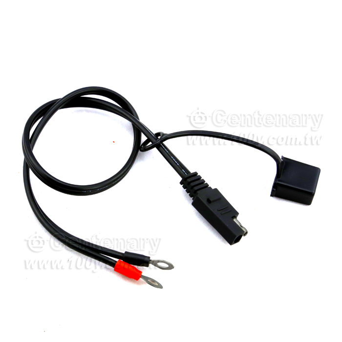 鉛酸電池充電器 DC12V - 108598 產品圖片