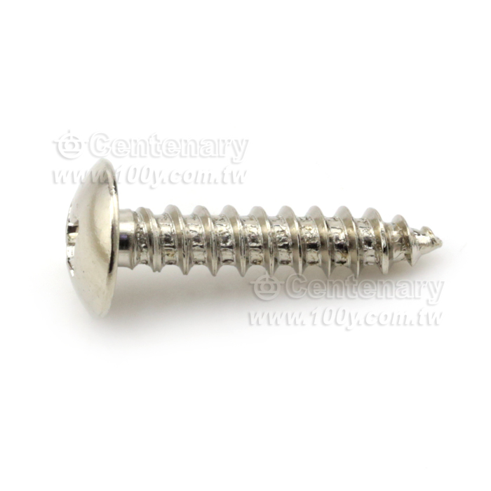 鍍鎳大扁頭尖尾螺絲 ⊕字 M3*6 - 111070 產品圖片