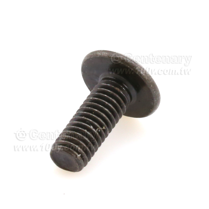 大扁頭螺絲 ⊕字 M3*12 - 111012 產品圖片
