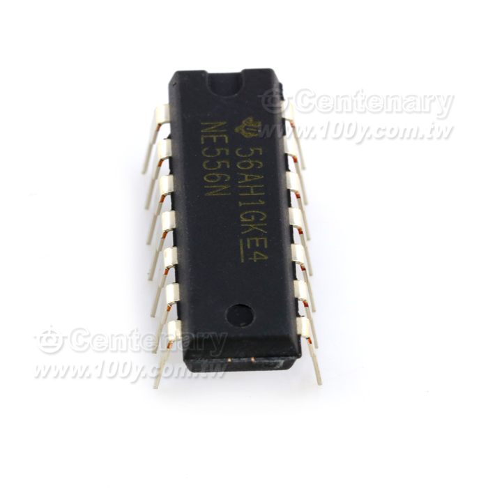 Dual Precision Timer - 111496 Product Image