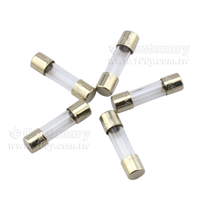 快速保險絲 80mA/250V - 113904 產品圖片