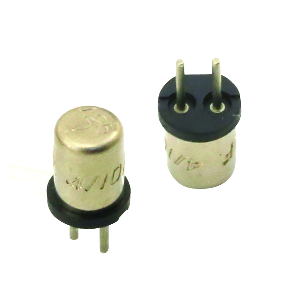 Littelfuse_2A/125V保險絲 - 37313 產品圖片
