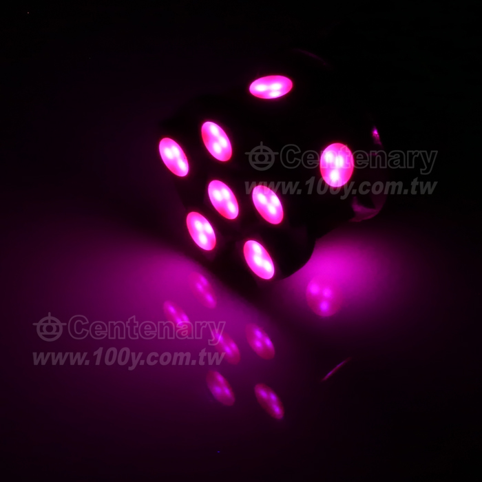33晶發光 /12VDC 粉紅紫光【ROHS】 - 57683 產品圖片