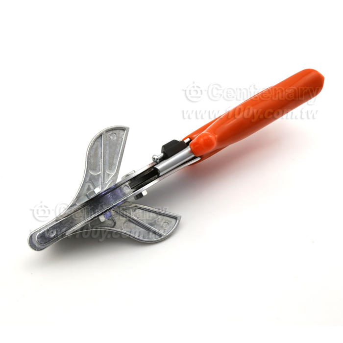 Pair the scale scissor - 121472 Product Image