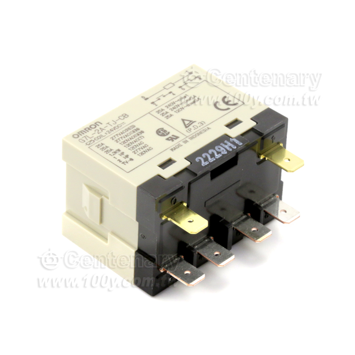 繼電器 DPST-NO DC24V - 99734 產品圖片