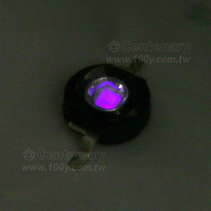 ψ5 紫光LED 1W 395~400nm - 99952 產品圖片