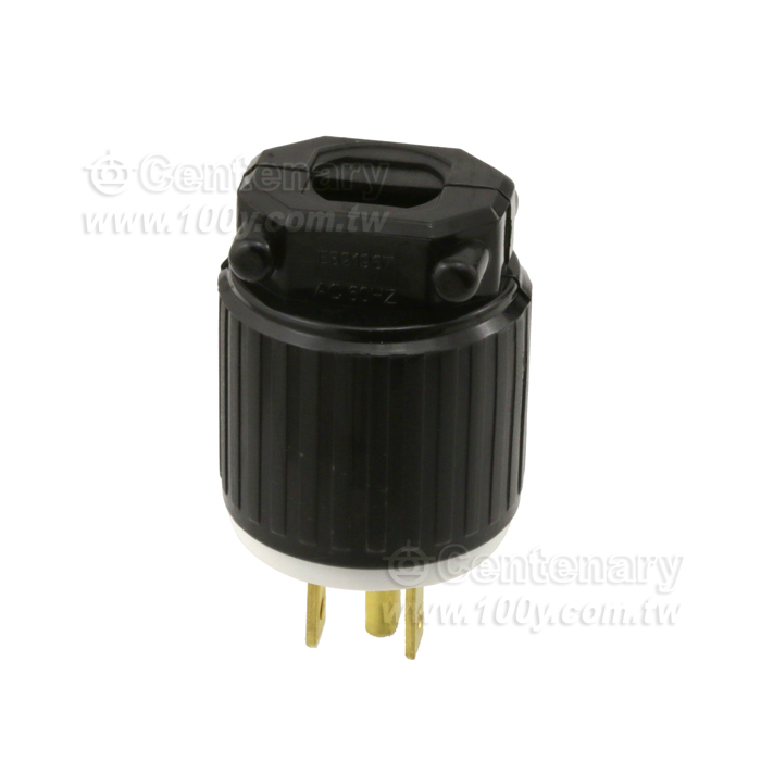 5-15P Straight Blade Plug - 108896 Product Image