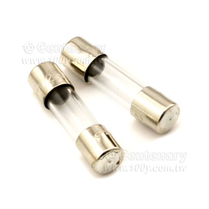 快熔保險絲 300mA/250V - 96773 產品圖片