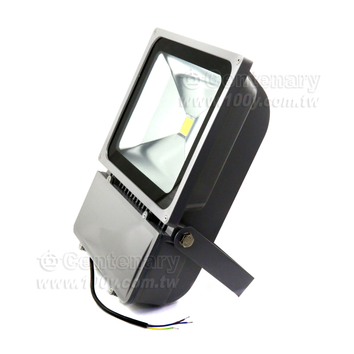 100W LED投光燈 正白光 AC85-265V - 109441 產品圖片