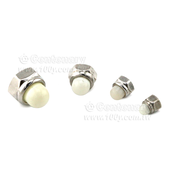 304螺母 - 141031 Product Image
