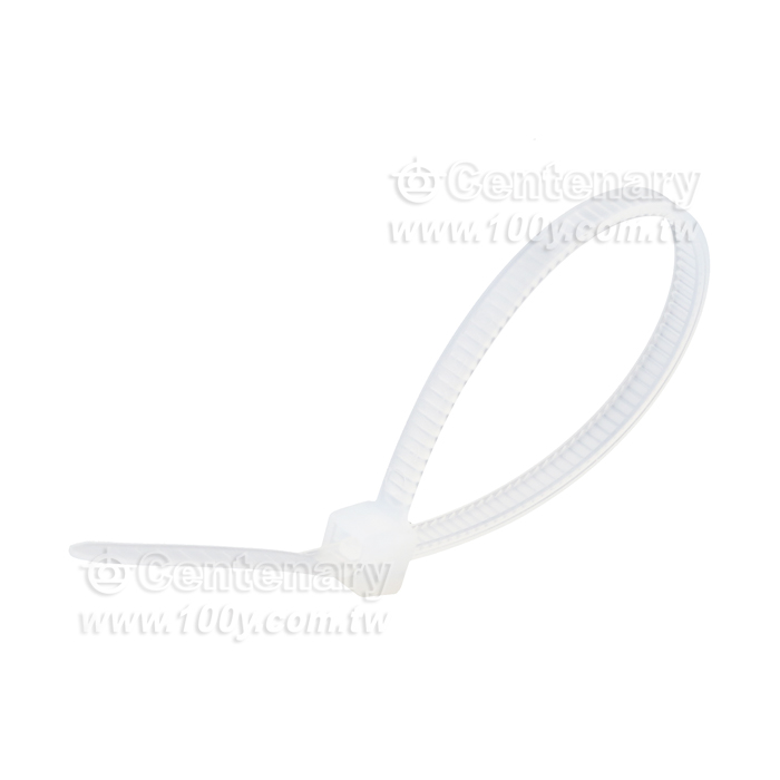 尼龍紮線帶 2.5*100mm - 145024 產品圖片