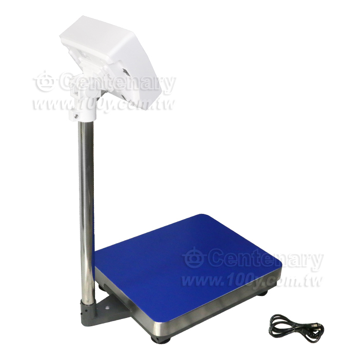 Industrial Weighing Platform Scale - 93895 Product Image