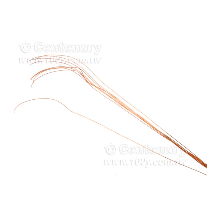 2UEW聚胺漆包銅線0.1mm*10 - 156601 產品圖片