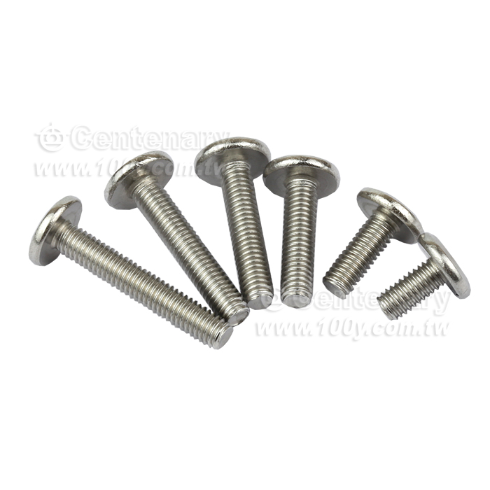 不銹鋼扁圓頭-BM-M3*14mm - 159463 產品圖片