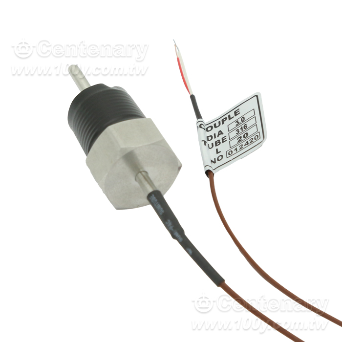 客製測溫線 - 163479 產品圖片