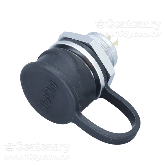 2P公插座 13A/250V - 164786 產品圖片
