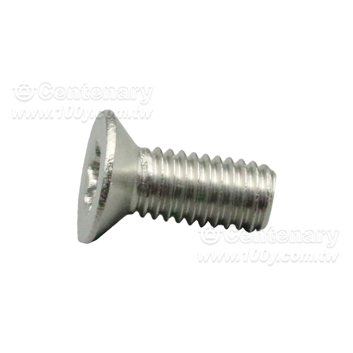 Flat  Head Self Tapping Screw - 165543 Product Image