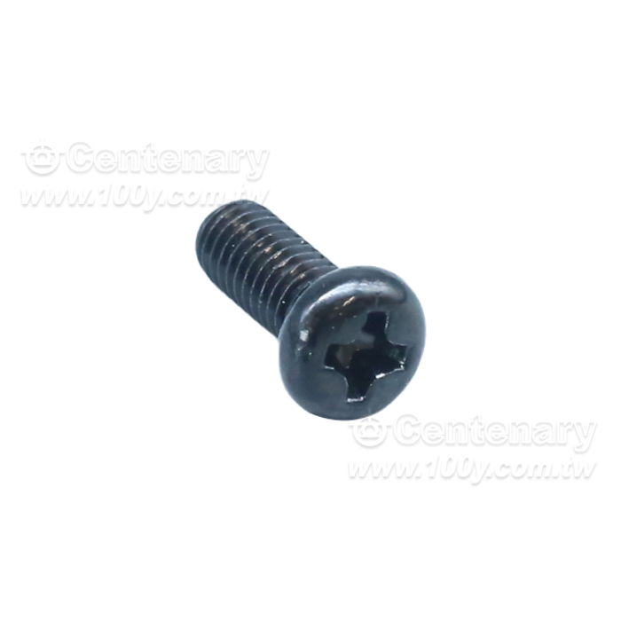 304  PM  Screws - 162461 Product Image