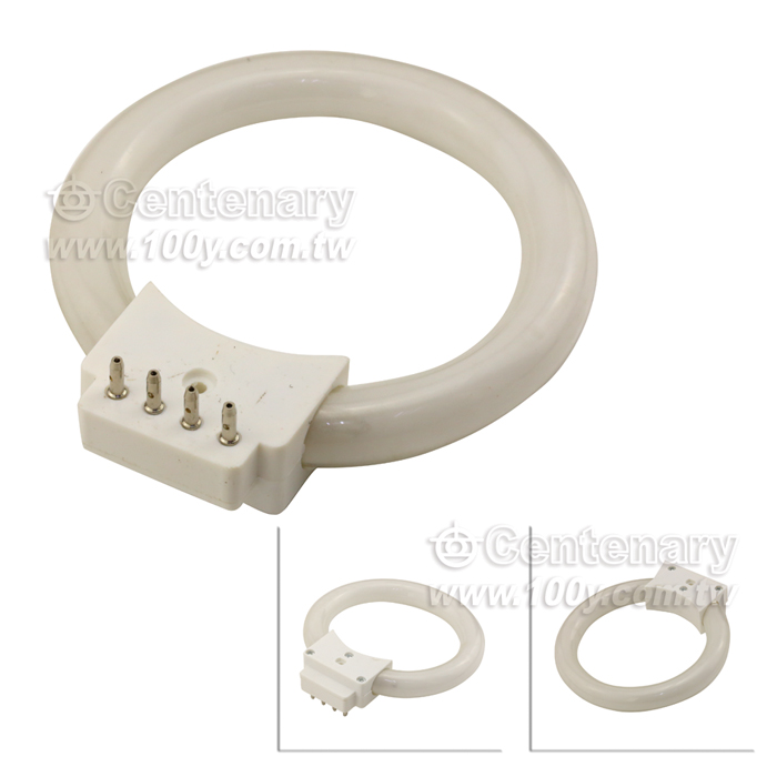 白色熒光燈管環形燈泡  8W - 17653 產品圖片