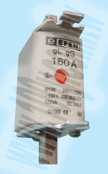 EFEN_保險絲 160A - 41933 產品圖片