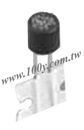 微型熔斷器 - 42889 產品圖片