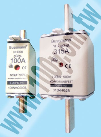 Bussmann _ gG/gL慢鎔型熔斷器			 - 49161 產品圖片