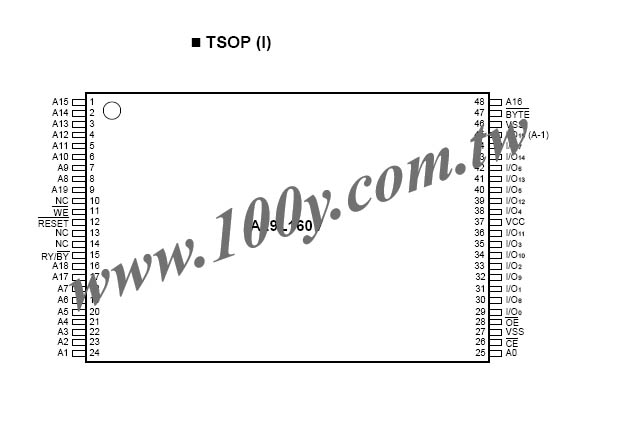 AMIC＿TSOP48