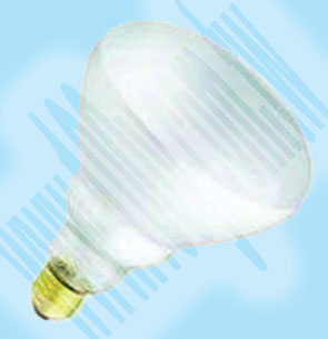 OSRAM_Projection Lamp - 30095 Product Image