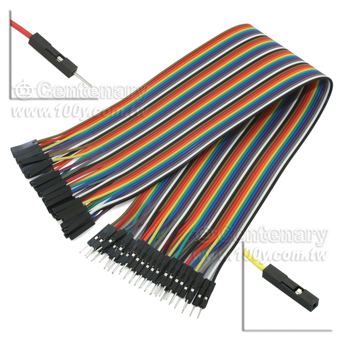 40P Jump Wire M/F Cable:20cm - 102097 Product Image