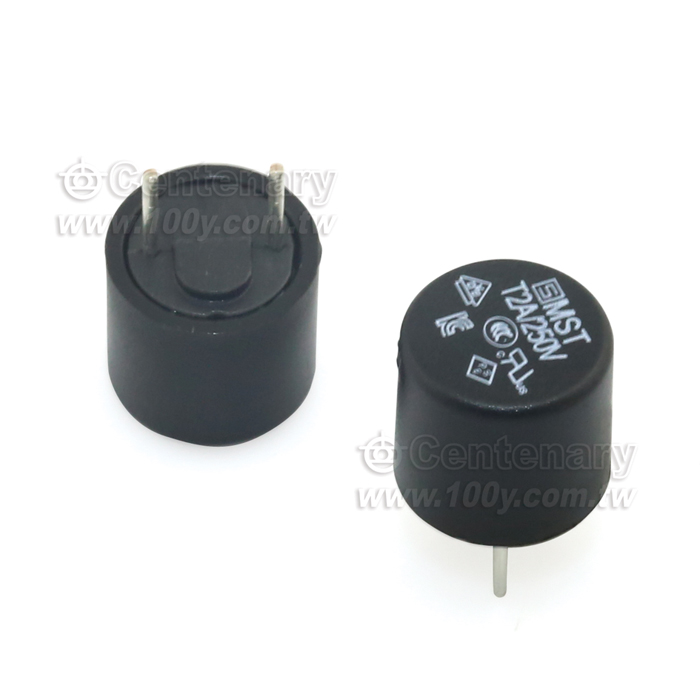 保險絲 50mA/250V