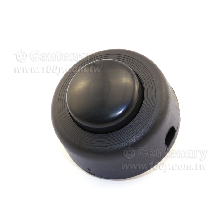 Switch For Lamp - 93900 Product Image