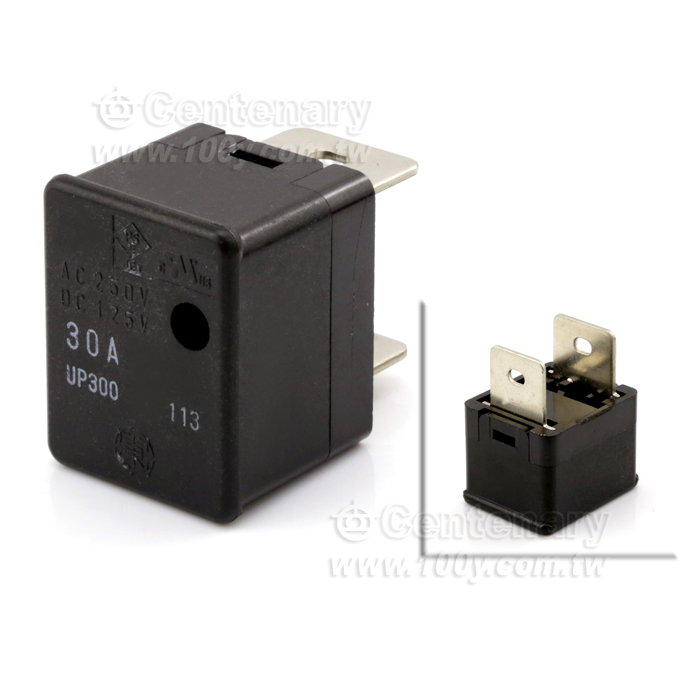 保險絲 30A  125V - 79111 產品圖片
