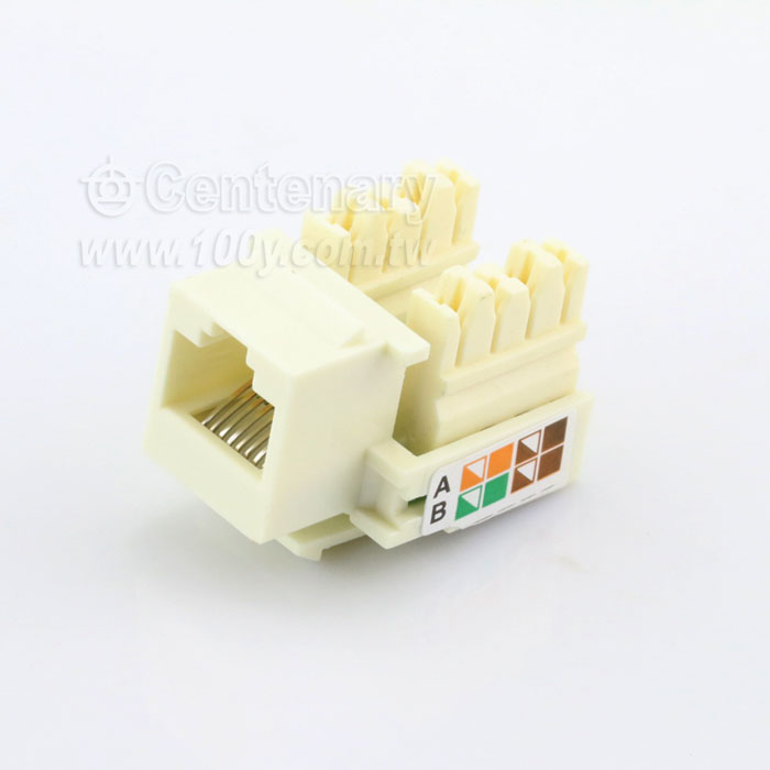CAT 5E RJ45 網路模塊 - 100073 產品圖片