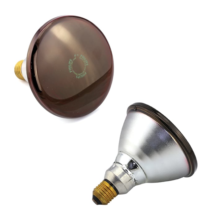 PHILIPS_Heat Lamps