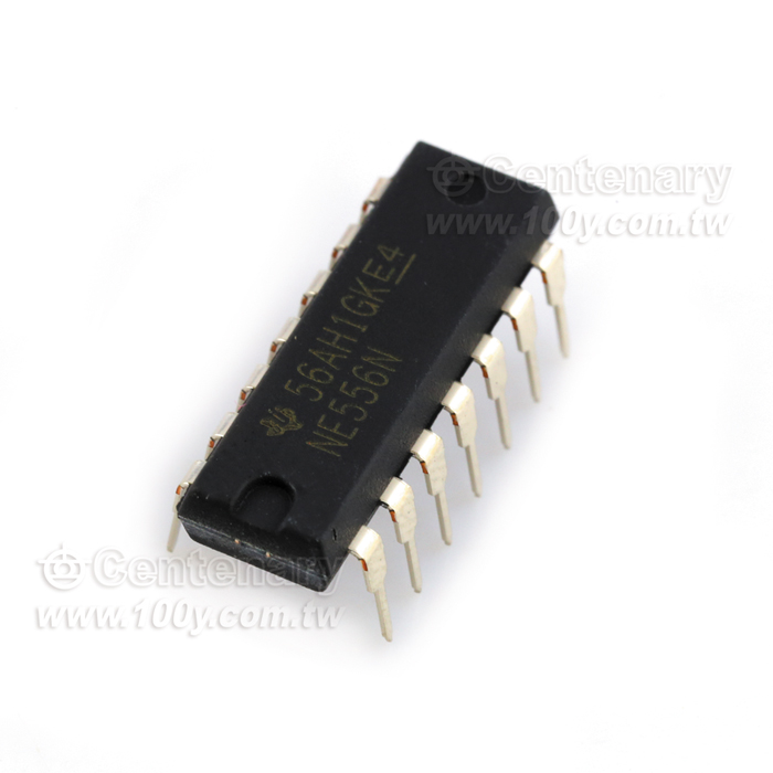 Dual Precision Timer - 111496 Product Image