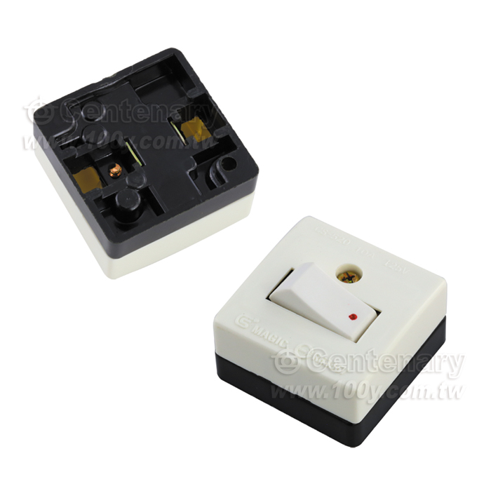 平開關檢驗品 10A/125V