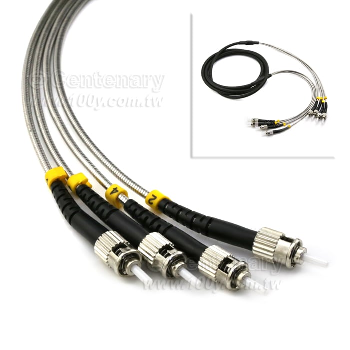 Optical Fiber