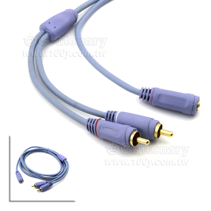 3.5ST to 2RCA Cable