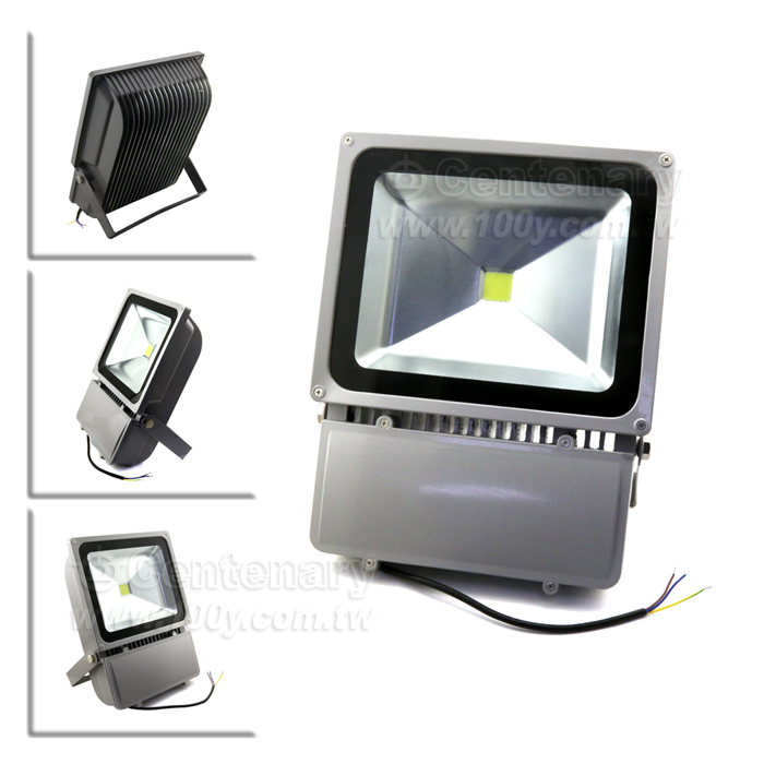 100W LED投光燈 正白光 AC85-265V - 109441 產品圖片