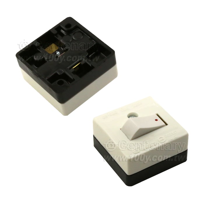 平開關檢驗品 10A/125V