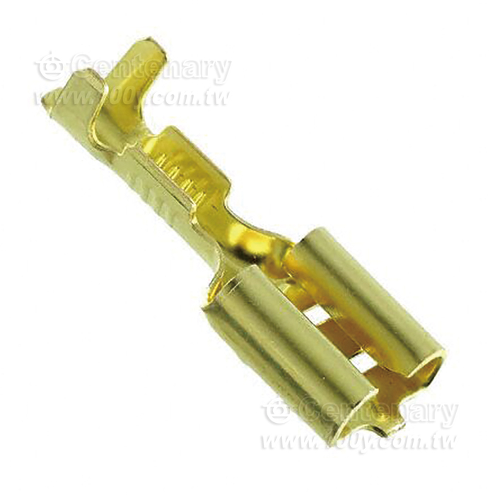 TE  CONN QC RCPT 14-18AWG 0.250 - 160648 Product Image
