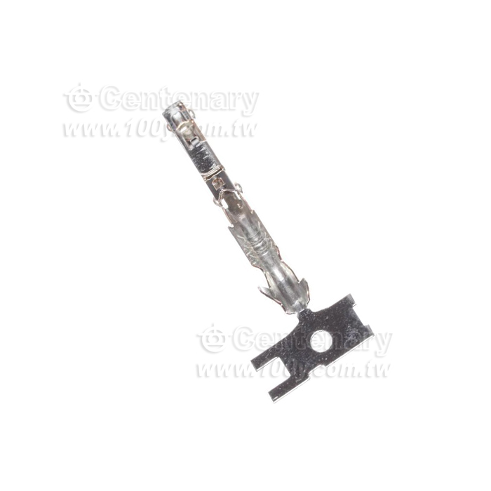 Molex--端子 CUSTOM TERMINAL - 160921 產品圖片