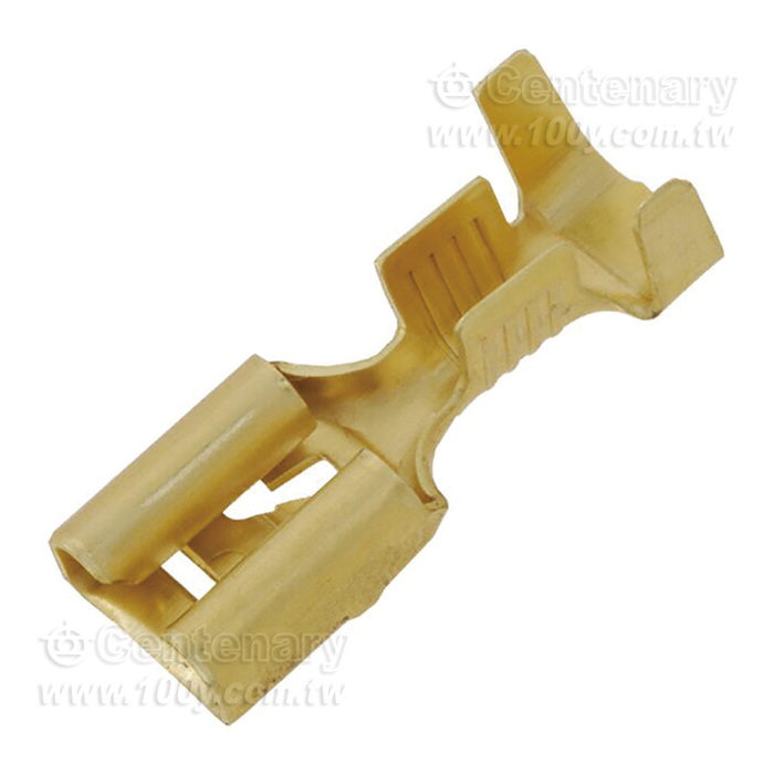 TE CONN QC RCPT 12-16AWG 0.250 - 161496 Product Image
